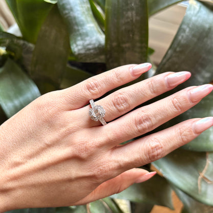 Bague Solitaire - Or Blanc 750 & Diamants