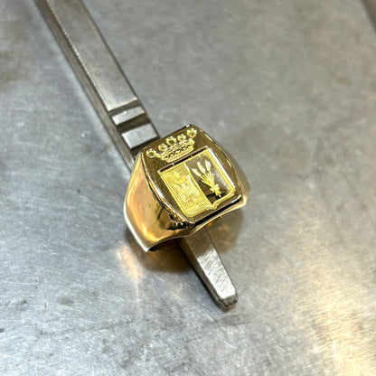 Bague Chevalière - Or Jaune 750