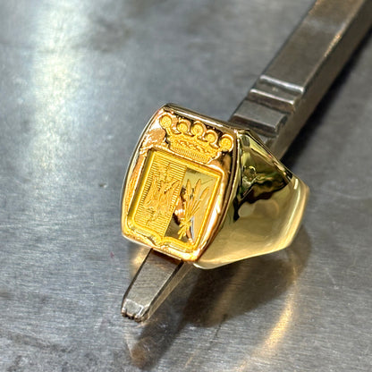 Bague Chevalière - Or Jaune 750