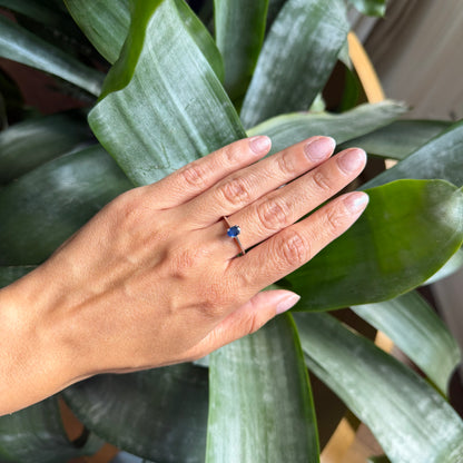 Bague Lapuna - Or Blanc 750 & Saphir