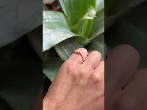 Bague Solitaire - Or Jaune 750 & Diamant